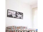 B&B Flaminia 219