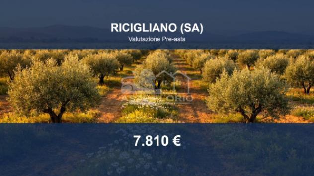 Immobile in asta di 15206 m² in vendita a Ricigliano