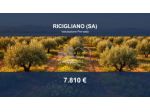 Immobile in asta di 15206 m² in vendita a Ricigliano