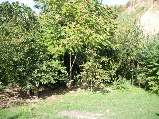 Pensione per Cani in Basilicata in provincia di Potenza