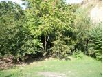Pensione per Cani in Basilicata in provincia di Potenza