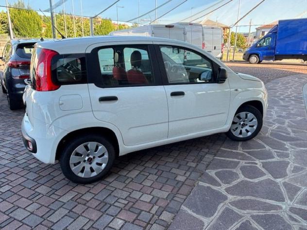 FIAT Panda 1.2 Pop rif. 23879840 - Foto 4