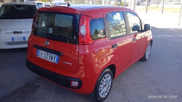 FIAT Panda 1.0 FireFly S&S Hybrid rif. 23002127 - Foto 3