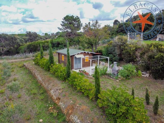 CAPOLIVERI - ELBA - VILLA CON DEPENDANCE E SPAZIO ESTERNO - Foto 12