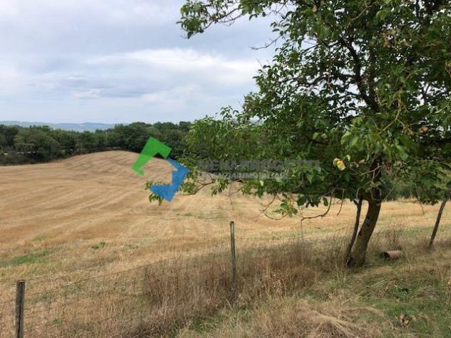 Fabbricato Rurale in splendida posizione panoramica a Chiusdino. - Foto 5