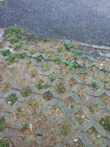Immobile in asta di 500 m² in vendita a Trezzano Rosa - Foto 16