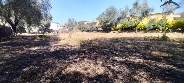 Laurentina - Monte Migliore 2 terreni (Edificabile e agricolo). Imperdibili !!! - Foto 8