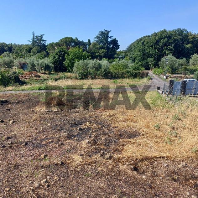 Terreno in vendita a Zafferana Etnea, Pisano - Foto 15