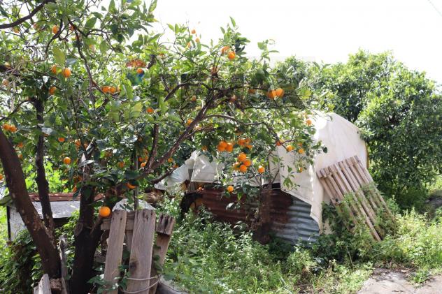 Terreno in vendita a Fiumefreddo di Sicilia - Foto 7
