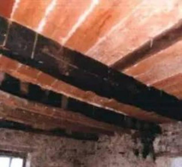 Immobile in asta di 253 m² con più di 5 locali in vendita a Campofilone - Foto 12
