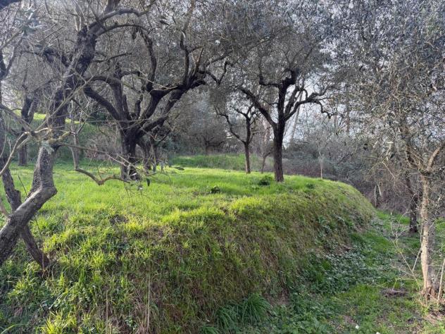 Terratetto in vendita a Sarzana - Foto 20