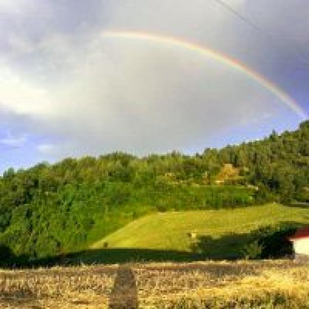 Girfalco Country House B&B - Foto 4