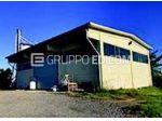 Magazzini e locali di deposito di 285 mq  in vendita a Quattordio - Rif. 4547773