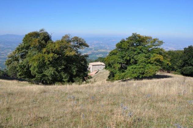 Porzione di casa in vendita a Massa Martana