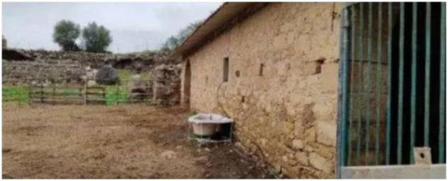 Immobile in asta di 2900 m² in vendita a Carlentini - Foto 5