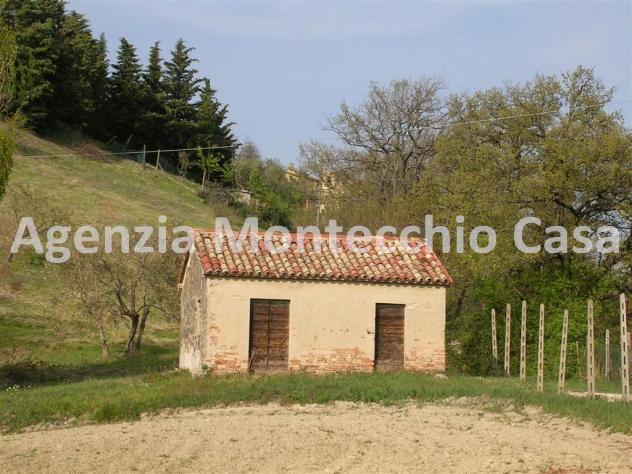 Terreno agricolo, bosco e capanno - Foto 10