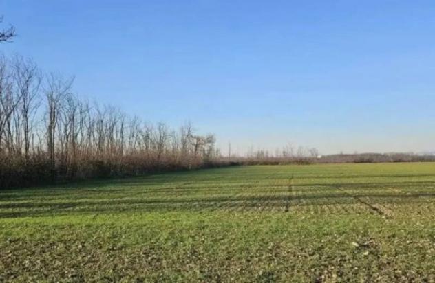 Immobile in asta di 54095 m² in vendita a Dairago - Foto 2