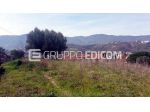 Lotto edificabile di 1980 mq  in vendita a Montalto Uffugo - Rif. 4544287