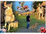 Educatore Cinofilo, Dog sitter, Pensione casalinga, Roma