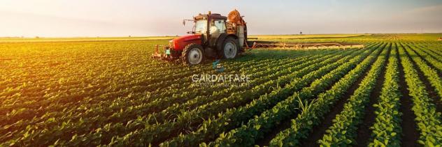 TERRENO AGRICOLO IN VENDITA A MANERBA DEL GARDA