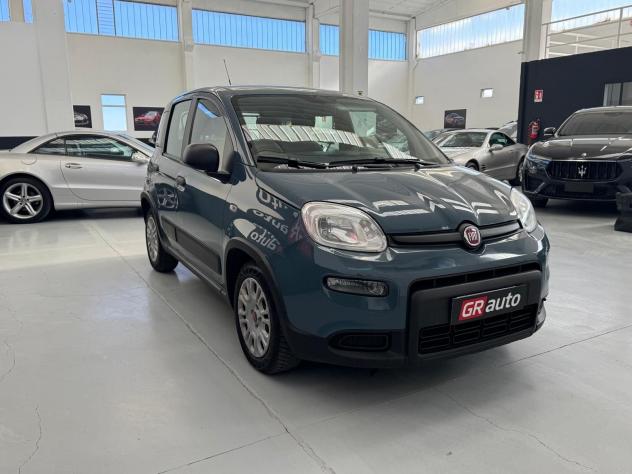 FIAT Panda Panda van 1.0 hybrid Street 70cv 4p.ti serie 4 E6d - Foto 4