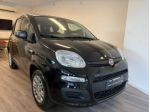 FIAT Panda 1.0 FireFly S&S Hybrid Icon rif. 24124946