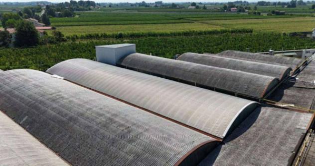 Immobile in asta di 8957 m² in vendita a Cotignola - Foto 5
