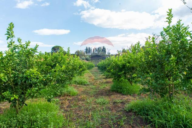 Terreno in vendita a Santa Venerina, Dagala del Re - Foto 18