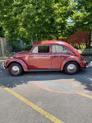 VOLKSWAGEN Maggiolino Maggiolino rif. 22872515 - Foto 4