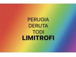 COLLABORATORE E AUTISTA ITALIANO PER FAMIGLIA E PERSONE SOLE PG + PROV