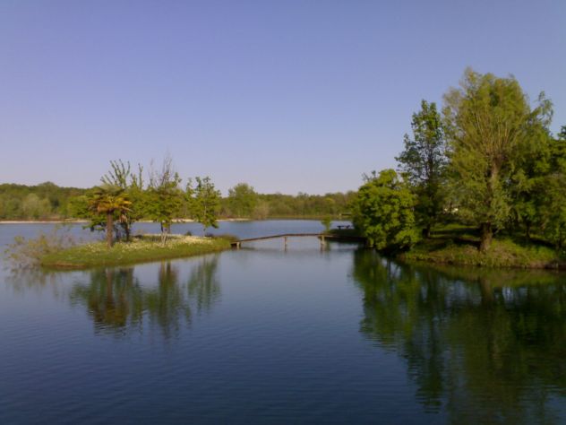 Bar Trattoria con Parco e Lago mq. 50.000 - Foto 8