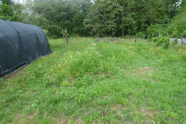 Terreno edif. residenziale in vendita a San Leonardo In Treponzio - Capannori 1500 mq Rif: 1385905 - Foto 6