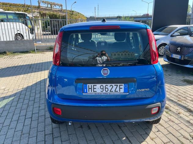 FIAT Pandina Pandina 1.0 firefly hybrid Icon s&s 65cv - Foto 10
