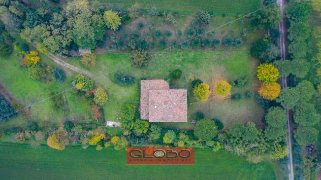 CALISESE di Cesena - VILLA in OTTIMO STATO con AMPIO PARCO PRIVATO ( 16.025 mq. ) - UNICA !! - Foto 12