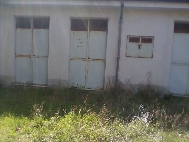 Terreno in provincia di Salerno - Foto 3