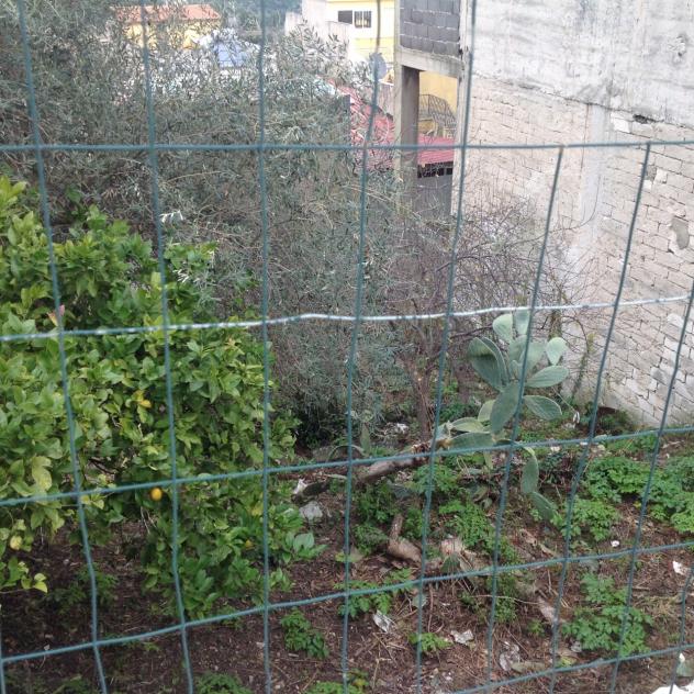 Terreno edificabile in vendita a Canicattini Bagni