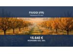 Immobile in asta di 12360 m² in vendita a Fiuggi