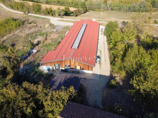 Rustico / Casale di 70000 m² con più di 5 locali in vendita a Fubine Monferrato - Foto 4