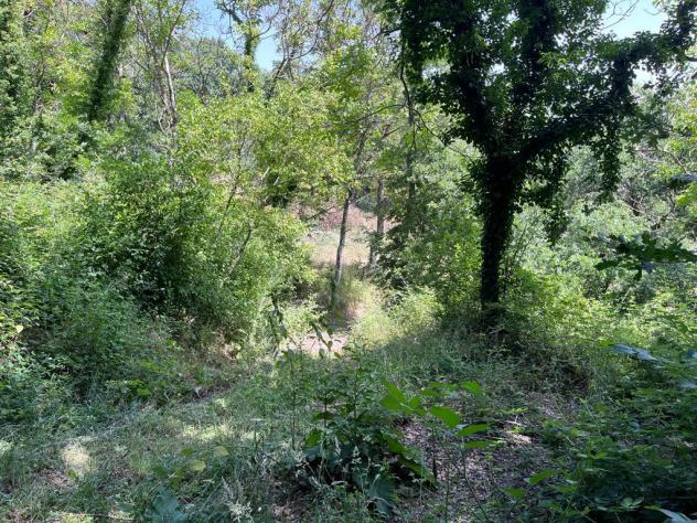 Nel comune di Sorano e precisamente nella frazione di San Giovanni delle Contee che dispone di servizi di prima necessità e dista circa 14 km da Soran - Foto 20