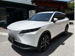 OMODA 7 SHS-P 1.5 SHS-P plug-in Hybrid Premium rif. 23868634