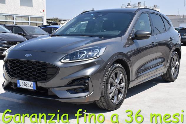 Ford Kuga 1.5 EcoBlue 120 CV aut. 2WD ST-Line X
