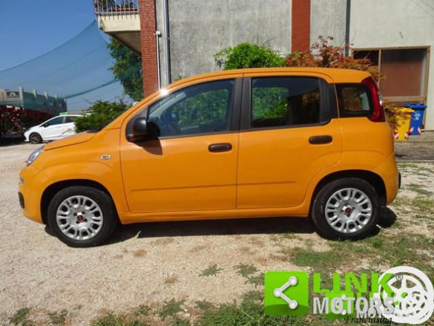 FIAT Panda 1.2 EASY rif. 23935614 - Foto 2