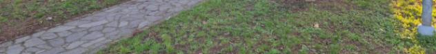 Immobile in asta di 32 m² in vendita a Forlì - Foto 13