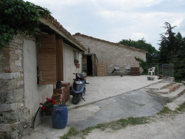 terreno boschivo mq500000 Privato - Foto 4