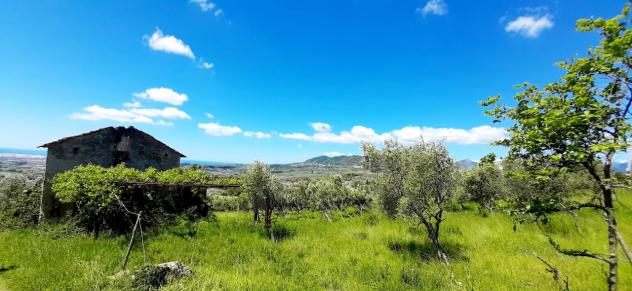 Uliveto in vendita a Montecorvino Rovella - Foto 14