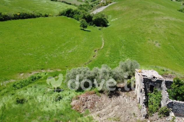 Rustico / Casale di 2300 m² con più di 5 locali in vendita a Pienza - Foto 6