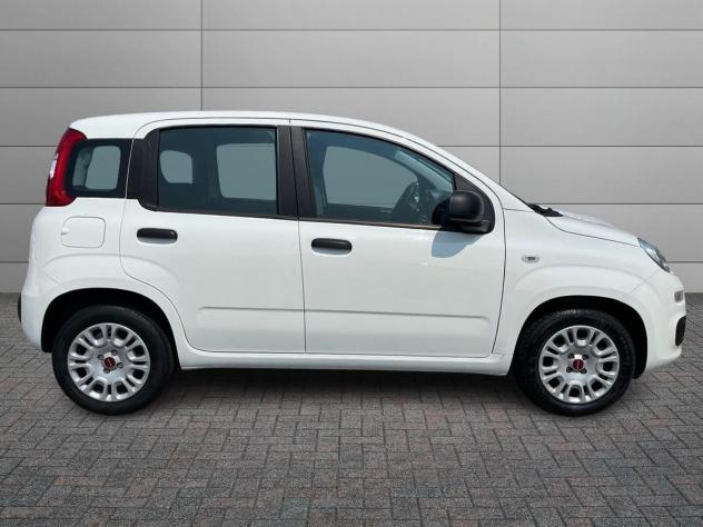 FIAT Panda 1.2 69cv S&S Easy - Foto 3