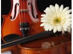 Violinista con violino acustico oppure elettrico