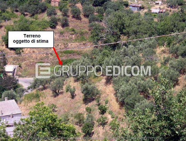 Terreno di 3350 mq in vendita a San Pietro in Guarano - Rif. 4543530