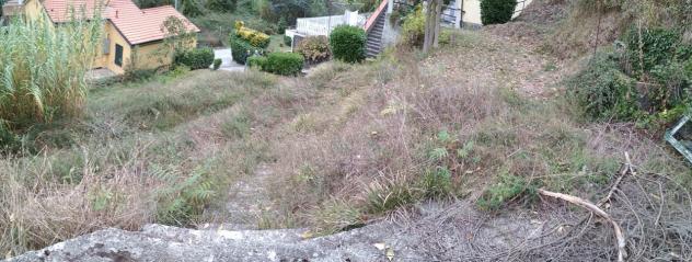 Vigneto in vendita a Vezzano Ligure - Foto 9
